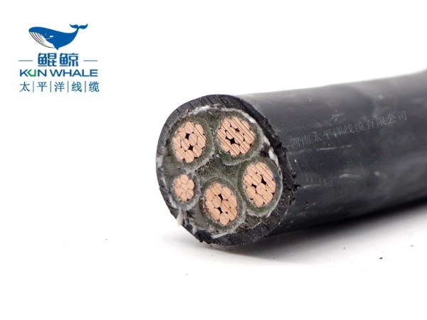 低煙無(wú)鹵電纜應用在哪些場(chǎng)所你知道嗎？