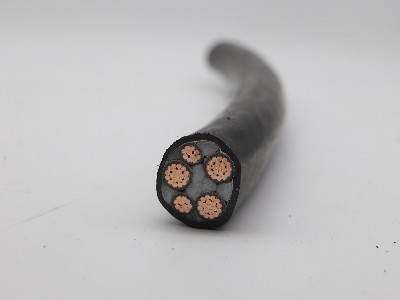 鄭州電纜廠(chǎng)低煙無(wú)鹵阻燃電線(xiàn)的特點(diǎn)及識別方法