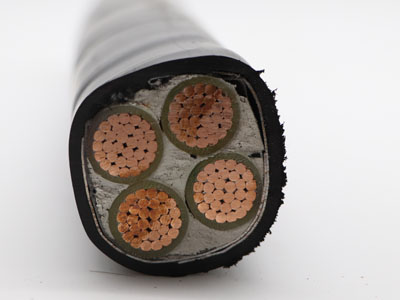 YJV22低壓電力電纜PVC絕緣和護套需要進(jìn)行哪些試驗？