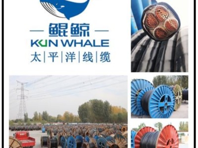 太平洋線(xiàn)纜國產(chǎn)電纜十大品牌排名