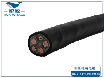采用線(xiàn)纜標準時(shí)如何選擇電纜？需要注意什么問(wèn)題？