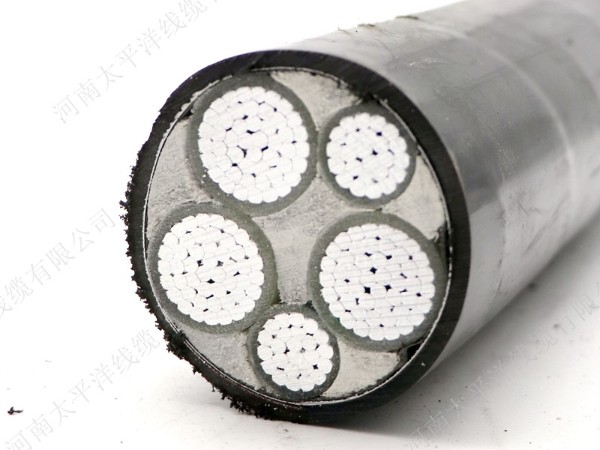 通常用的電力電纜中，鎧裝電纜價(jià)格要比普通電纜的貴一點(diǎn)，不僅如此，控制電纜和其他類(lèi)型的電纜中，鎧裝電纜價(jià)格都會(huì )比普通電纜的貴，那么憑什么呢？