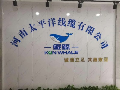 牛商爭霸中段總結，河南太平洋線(xiàn)纜賦能發(fā)展